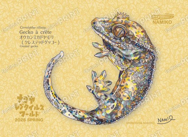 ナゴレプ2026春_クレステッドゲッコー