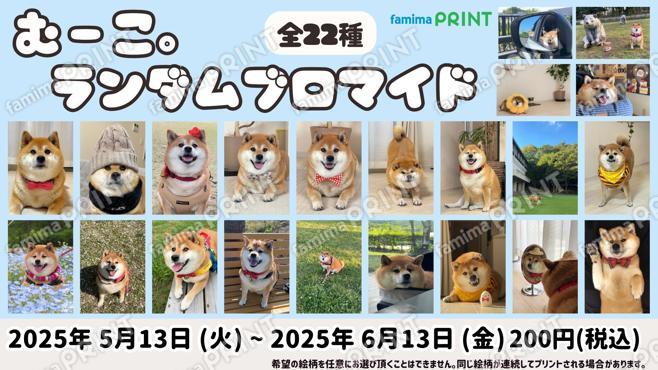 むーこ。ランダムブロマイド