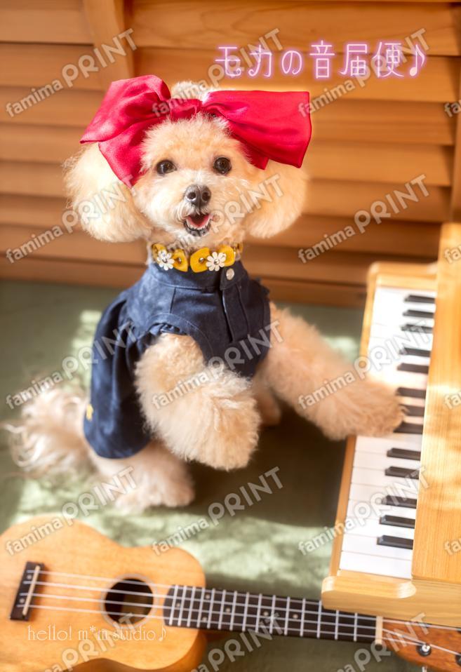 ハロー！モカの音届便♪A-8