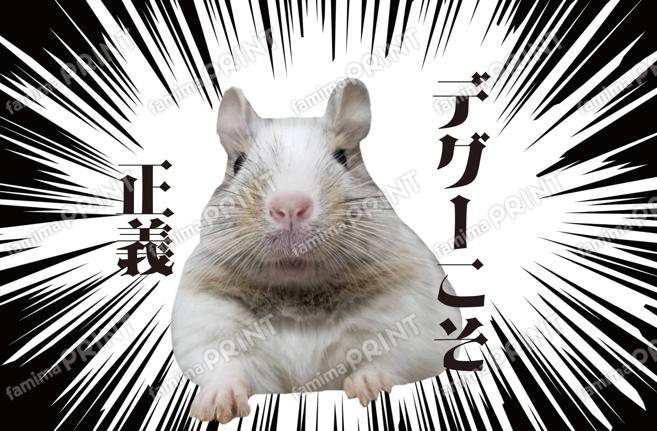 デグーのおもしろポストカード03