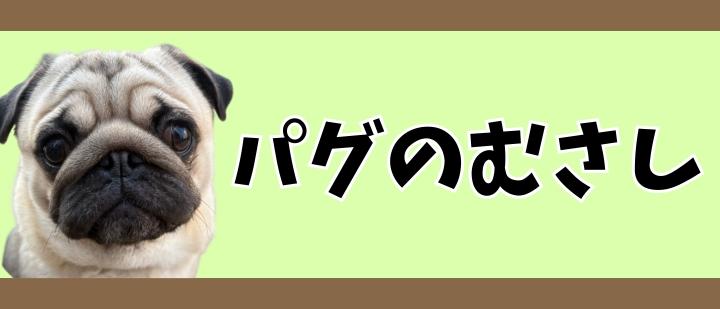 パグのむさし