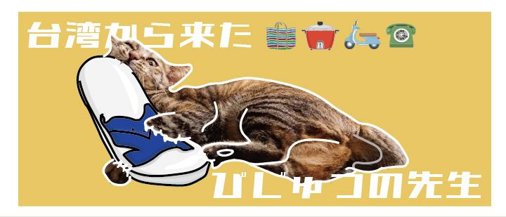 台湾から来た猫「美術老師」台湾生活シリーズ