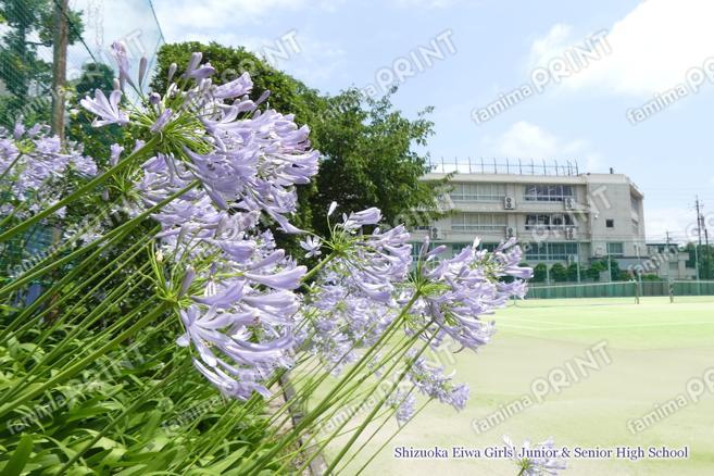 初夏のテニスコート