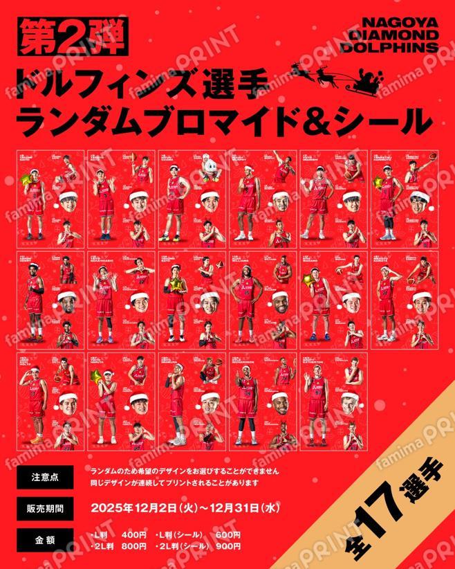 名古屋ダイヤモンドドルフィンズランダムブロマイド＆シール（クリスマスver）