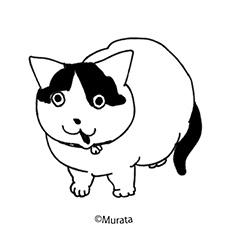 いつも心に7テンを