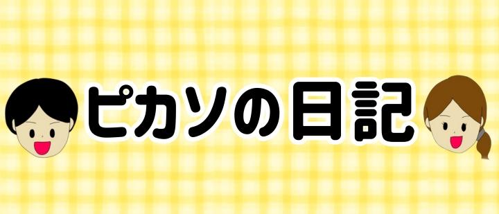 ピカソの日記