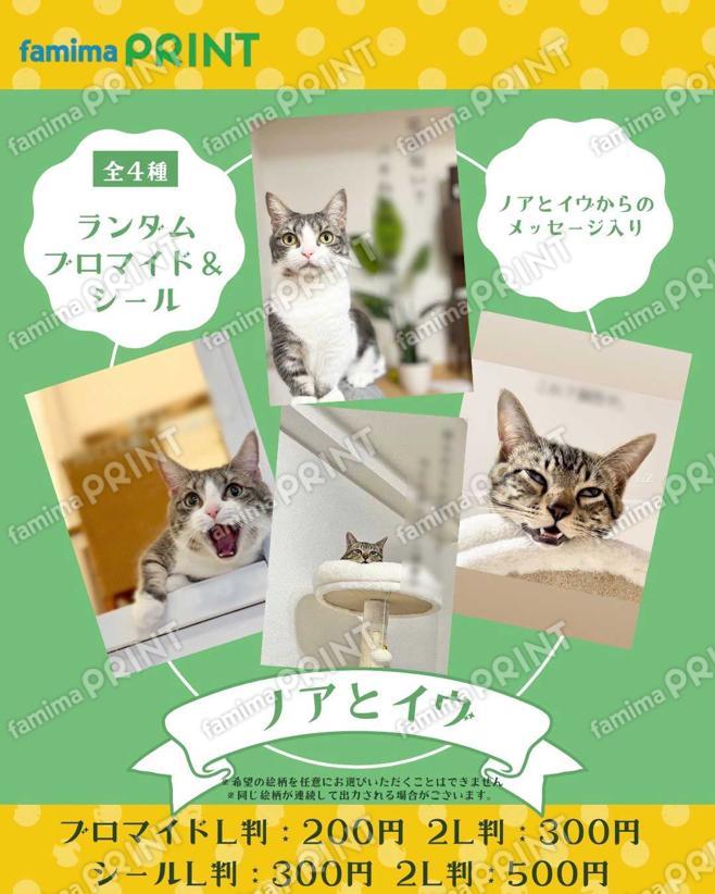 ノアとイヴ ランダムブロマイド＆シール