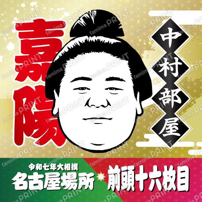 嘉陽