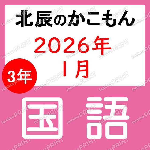 2025年度北辰考试3年8次国语