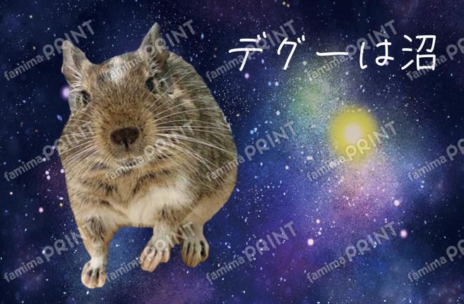 デグーのおもしろポストカード02