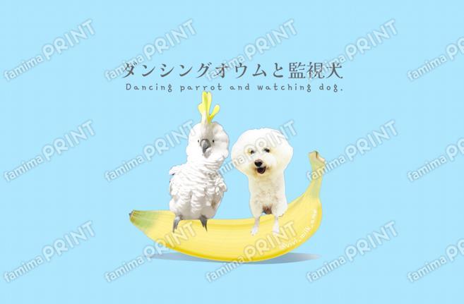 ダンシングオウムと監視犬ポストカード01