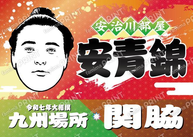 関脇　安青錦_L