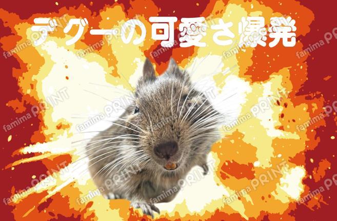 デグーのおもしろポストカード01