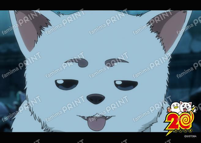 アニメ銀魂全367話振り返り(59)13