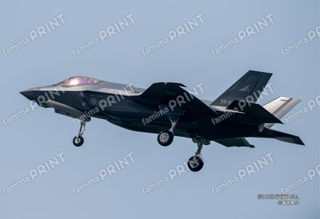 第302飛行隊F-35A