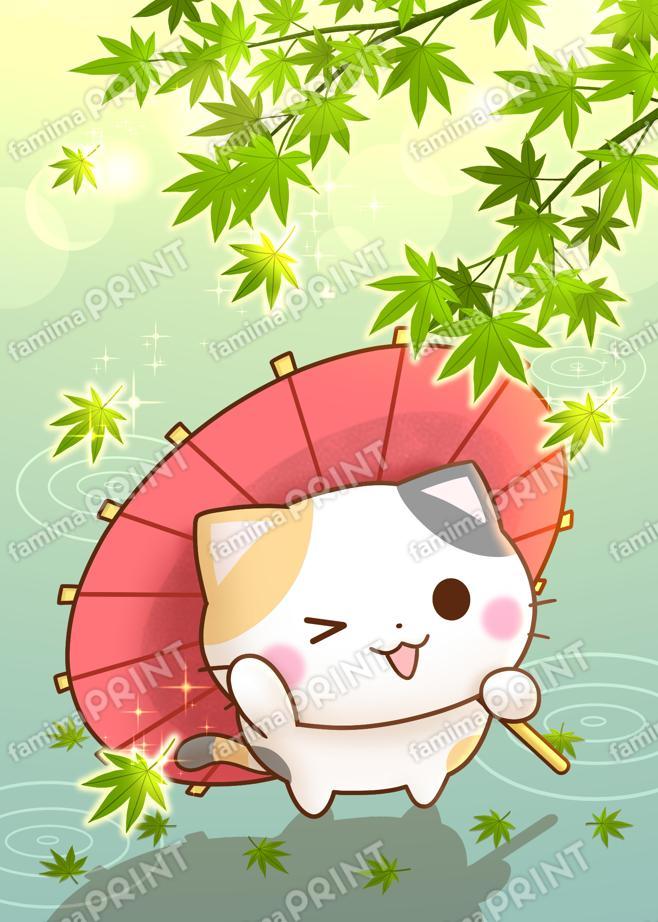 京都の三毛猫さん 緑舞う