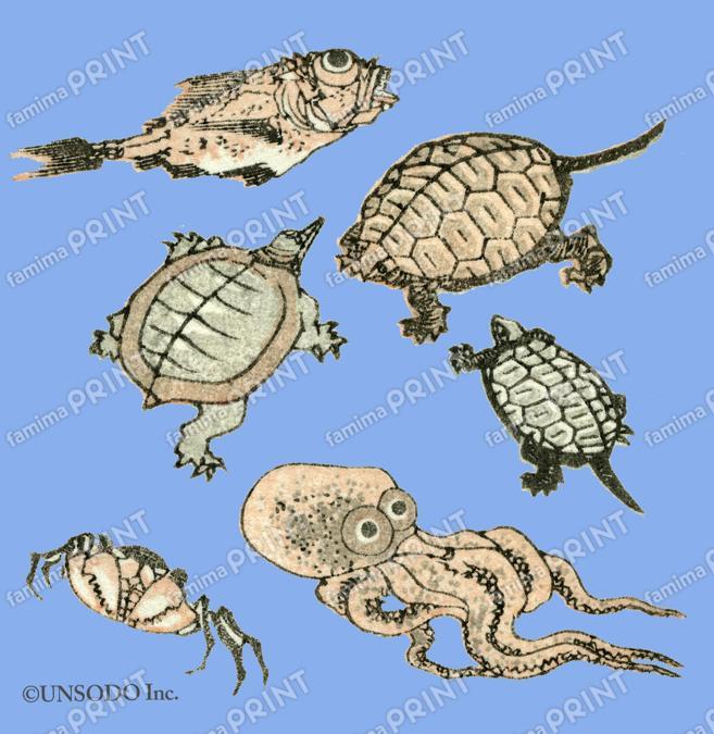 北斎漫画　海の生き物