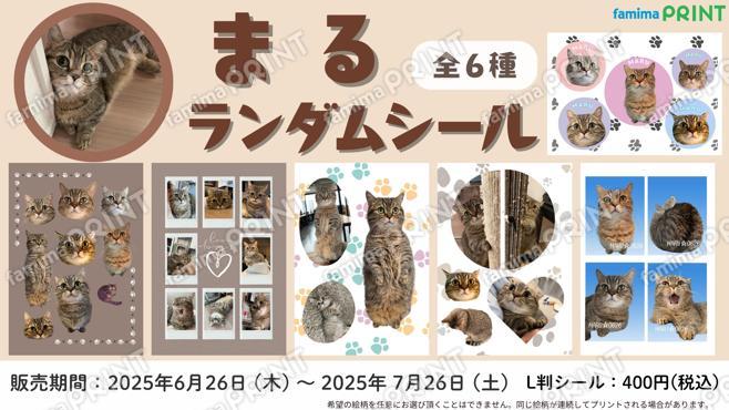 まるランダムシール