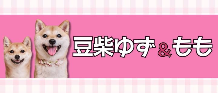 豆柴ゆず&もも