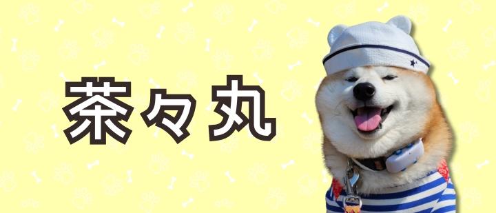 茶々丸