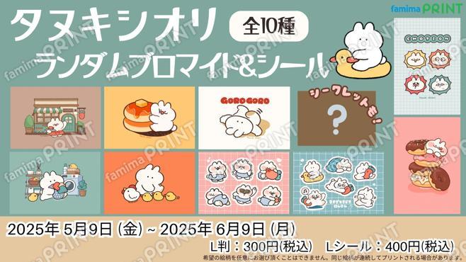 タヌキシオリ ランダムブロマイド＆シール