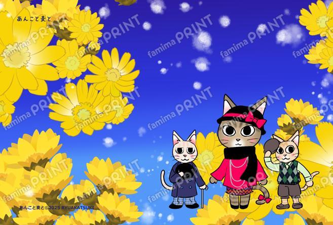 あんこと麦と季節のハガキ福寿草