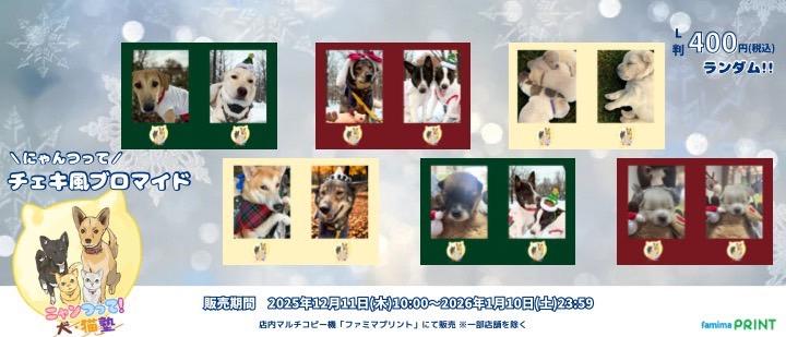 にゃんつって犬猫塾