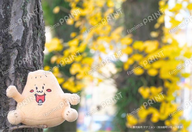 マグニョンブロマイド （加治屋町いちょう並木）