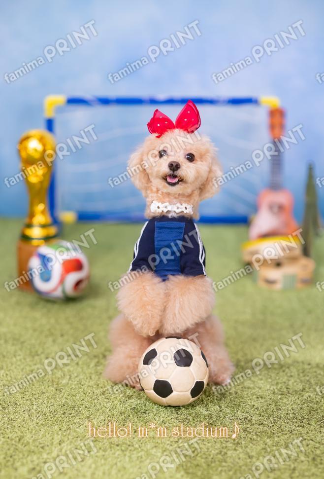 Hello! Mocha's Soccer Mail ♪ National Anthem