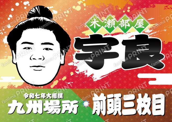 前頭三枚目　宇良_L