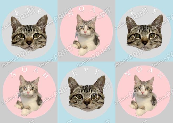 ノアとイヴ　携帯用丸シール