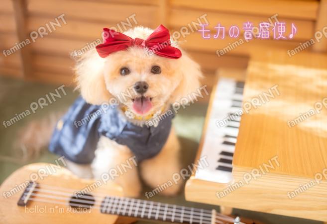 ハロー！モカの音届便♪A-6