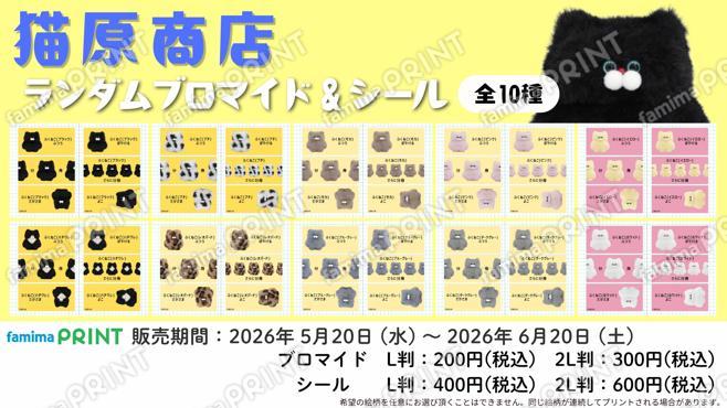 猫原商店ランダムブロマイド＆シール