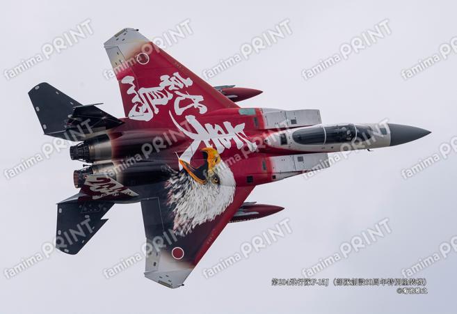 第204飛行隊F-15J（部隊創設60周年特別塗装機）