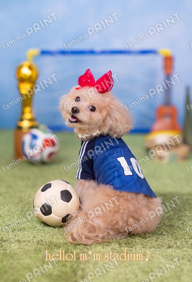 Hello! Mocha's Soccer Mail♪ Halftime