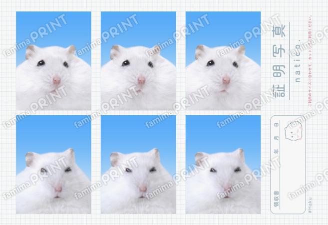 なてぃ子.証明写真風シール_03