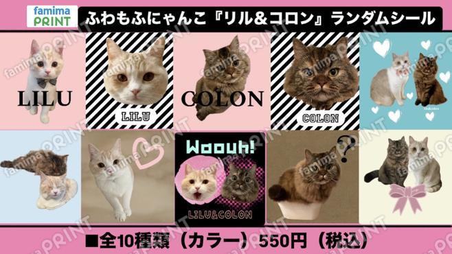 ふわもこにゃんこ『リルコロン』ランダムシール