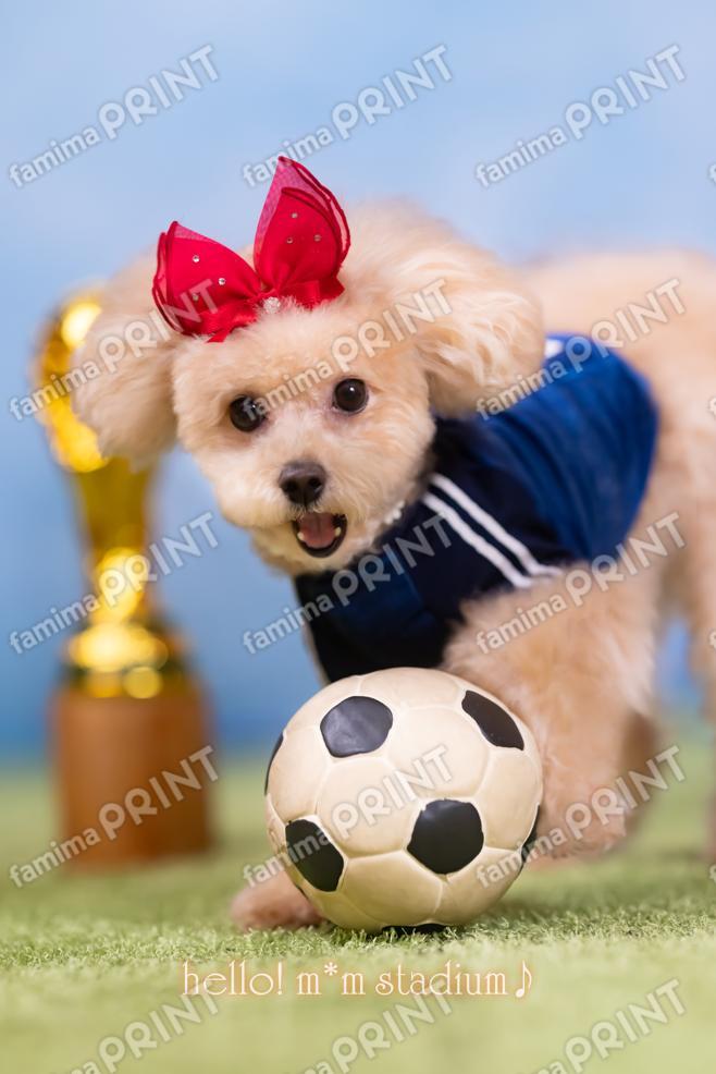 Hello! Mocha's Soccer Mail♪ Shoot