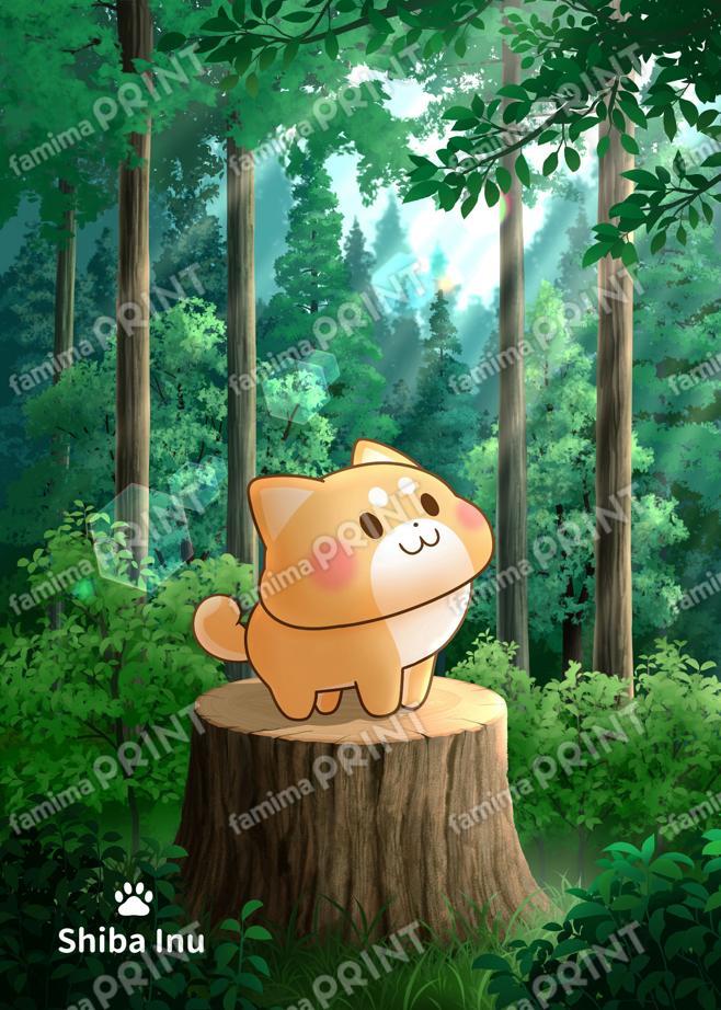 しばいぬちゃん 木漏れ日