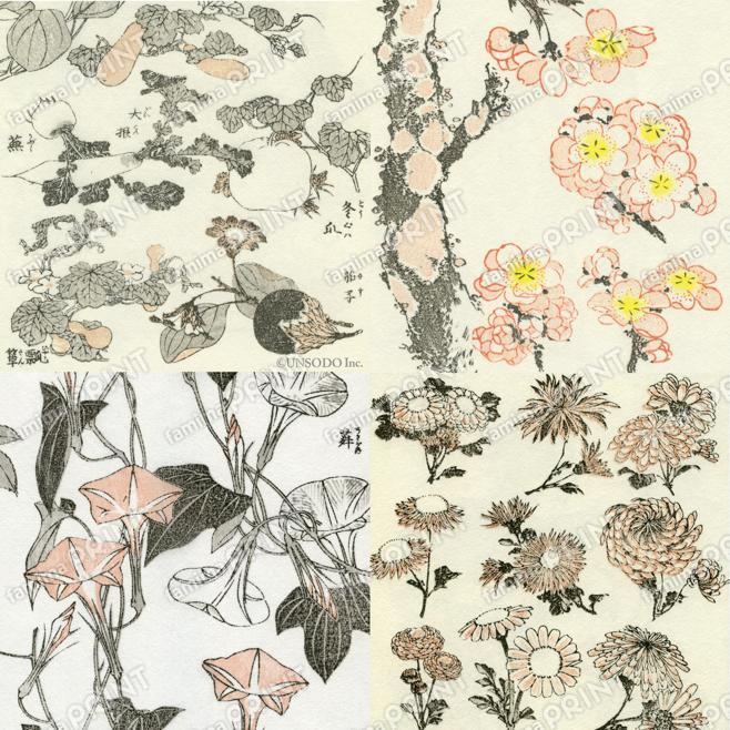 北斎漫画　花、植物