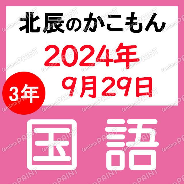 2024年度北辰テスト３年５回国語