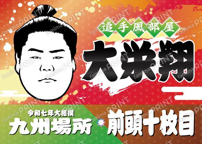 前頭十枚目　大栄翔_L