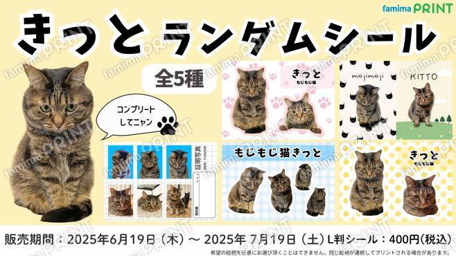 もじもじ猫きっとランダムシール