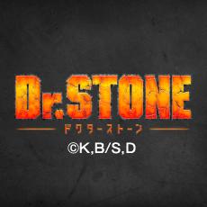 TVアニメ『Dr.STONE』