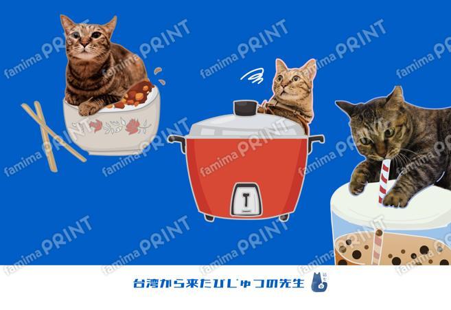 台湾から来た猫「美術老師」台湾生活ステッカー03