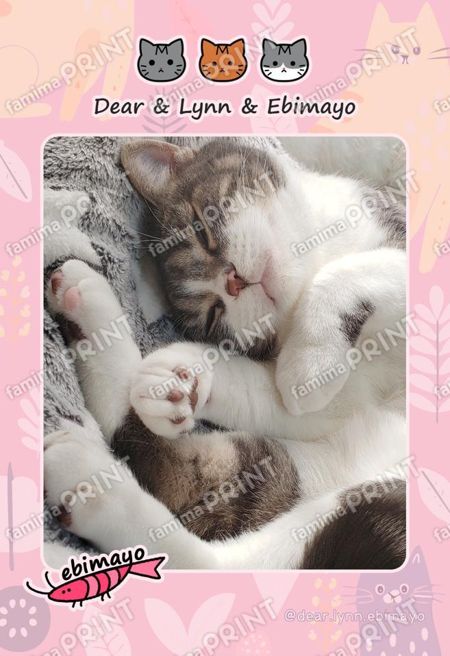 Dear&Lynn&Ebimayo_エビマヨ01