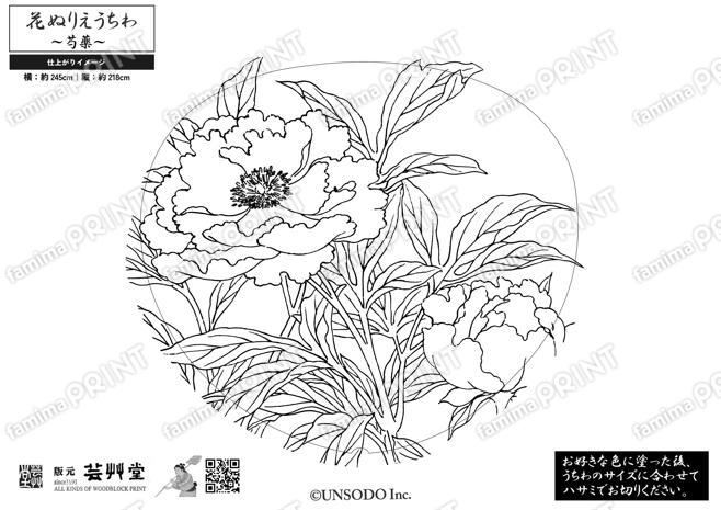 花ぬりえうちわ　芍薬