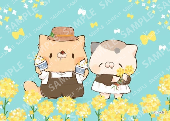 となりのにゃんこ3月ブロマイド