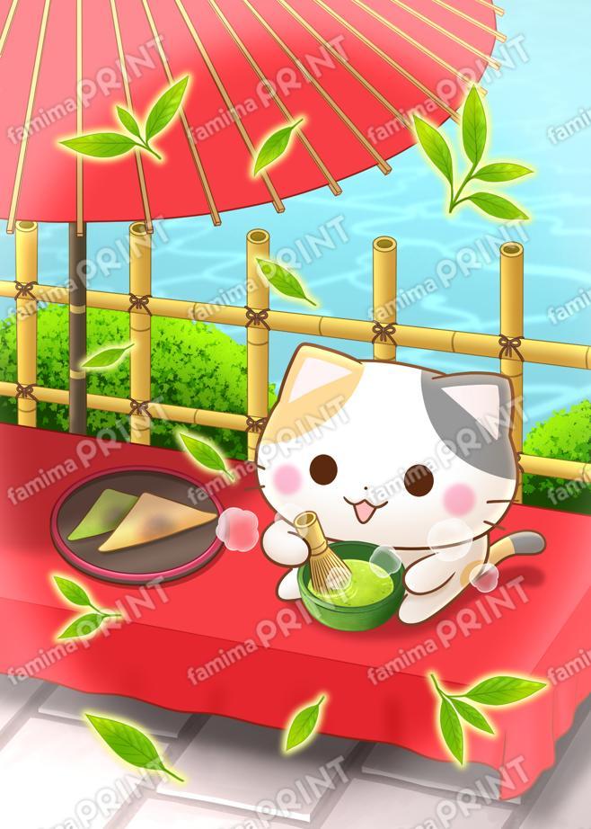 京都の三毛猫さん 茶の湯