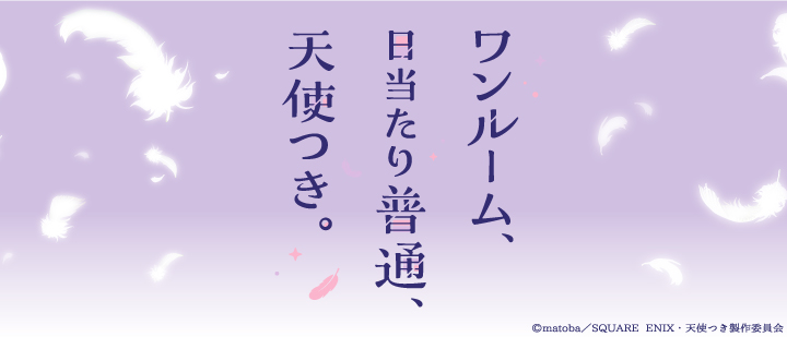 ワンルーム、日当たり普通、天使つき。